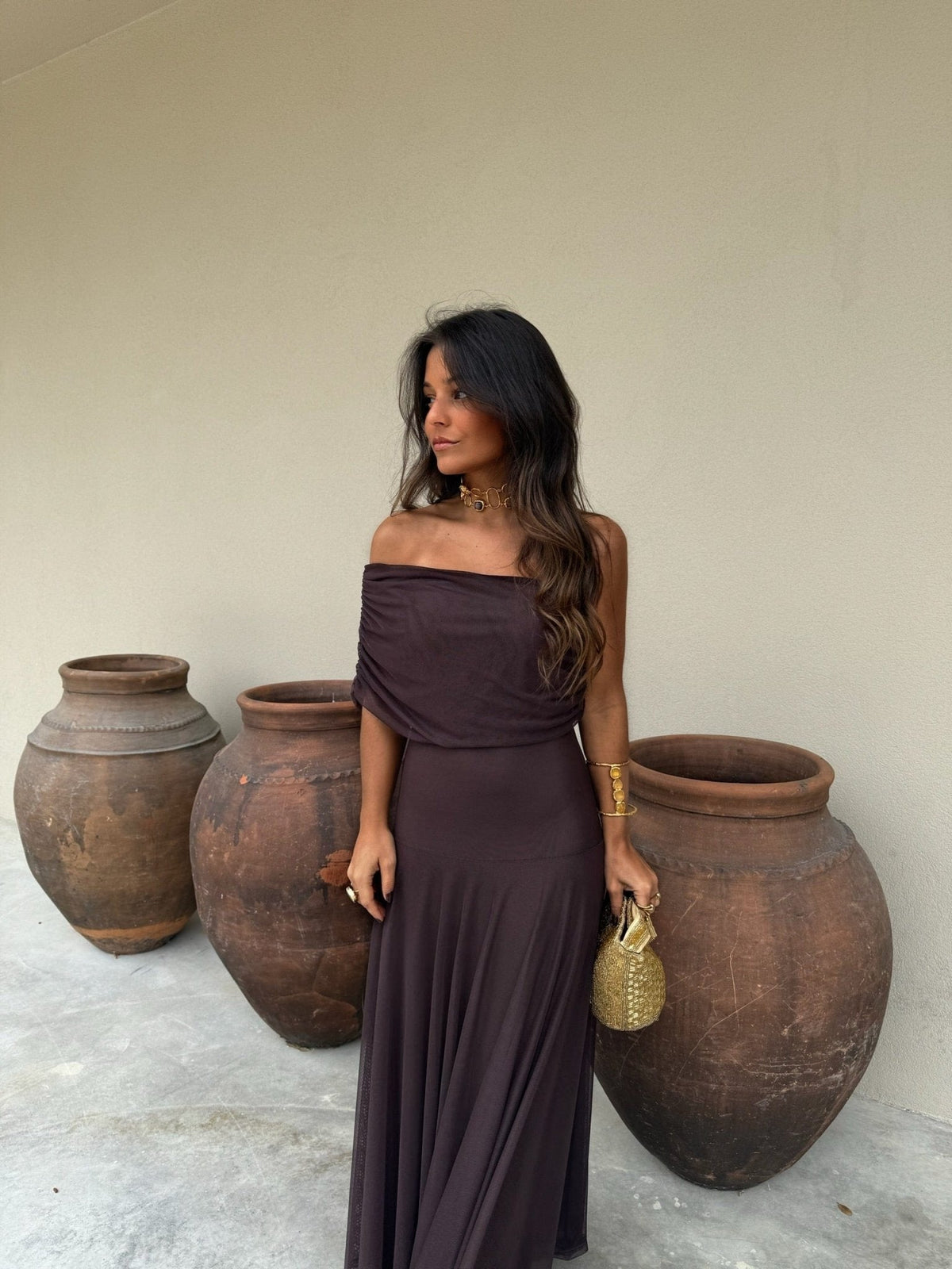 Daniella Long Sleeve Maxi Dress - Elegant Mesh Maxi Dress with Sleeves for Women in Versatile Earth Tones 4