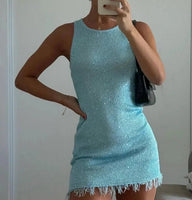 Claudia Sheer Sleeveless Mini Dress