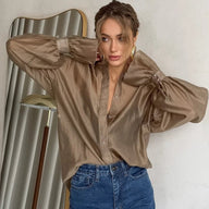 Long Sleeve Chiffon Sheer Blouse
